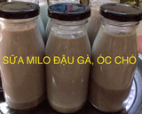 Hình bước làm 5 của món Sữa milo phiên bản sữa hạt