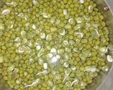 ફણગાવેલા મગ (Sprout Moong Recipe In Gujarati) રેસીપી સ્ટેપ1ફોટો