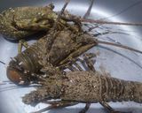Foto langkah ke 1 dari resep Lobster Pedas Manis.