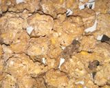 A picture of step 3 of Chana dal badi.