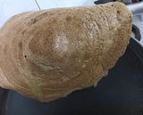 A picture of step 8 of Quinoa Amaranth Dosa.