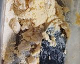 Foto del paso 3 de la receta: Tarta de manzana con harina de coco