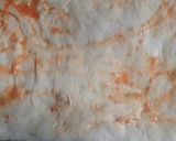 Foto del paso 3 de la receta: Masa para pizza casera