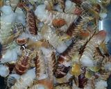 A picture of step 4 of Crayfish Curry.