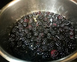 Foto del paso 10 de la receta: Tarta en frío de moras silvestres con lácteos sin lactosa