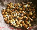 अंकुरित आहार (Ankurit aahar recipe in hindi) रेसिपी चरण 1 फोटो