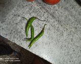 A picture of step 1 of Matar Mushroom.