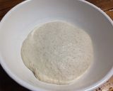 A picture of step 7 of No-knead slow-rise sourdough pizza dough.