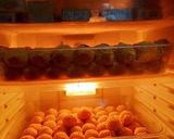 Foto langkah ke 6 dari resep Kroket kentang.