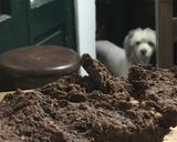 Foto del paso 5 de la receta: Brownie saludable y vegano 💪🏻