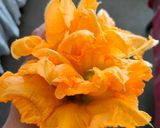 कद्दू के फूल के पकौड़े kaddoo ke phool ke pakode रेसिपी चरण 1 फोटो