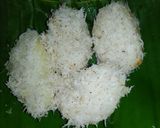 Foto langkah ke 6 dari resep Lupis ketan putih.