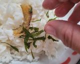 Foto langkah ke 4 dari resep Kering daun melinjo dan ikan asin jambrong.
