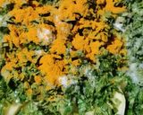 A picture of step 3 of Methi aloo.