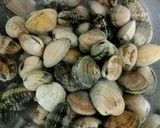 Foto del paso 1 de la receta: 🥒Cintas de calabacín con almejas a la marinera⚓