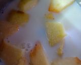 A picture of step 1 of Apple Shake.
