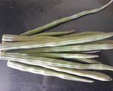 A picture of step 2 of Shegvani (Drumstick bhaji).