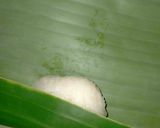 Foto langkah ke 5 dari resep Lemper Pulen isi Abon.