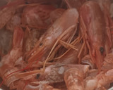 Foto del paso 1 de la receta: Arroz caldoso con bogavante