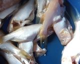 Foto langkah ke 2 dari resep Gulai Ikan Tebu Telur Khas Bengkulu.