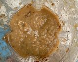 Egg plant swallowmatakin girki2 hoto