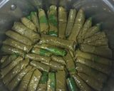 صورة لخطوة 4 من وصفة ورق عنب(دوالي)