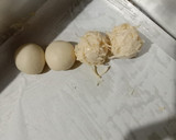 Foto langkah ke 4 dari resep Bubble Bread (no ulen).
