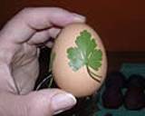 Egg dyeing using pantyhose recipe step 2 photo
