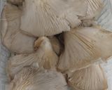 Foto del paso 5 de la receta: 🫘 Alubias carillas con setas 🍄
