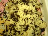 Pisang keju praktis