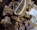 Foto langkah ke 2 dari resep Nasi Mandhi Iga Sapi.