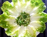 รูปขั้นตอนการทำที่ 6 ของ มีทบอลห่อผัก meatball baby romaine lettuce