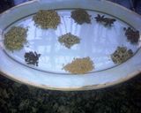 Foto del paso 1 de la receta: Polvo 12 Especies