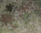 A picture of step 3 of Cabbage Manchurian.