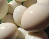 Stefánia golyók (bombák😂) recept fázis 3 fotója