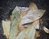 व्रत वाला पनीर कोरमा(vrat wala korma recipe in india) रेसिपी चरण 1 फोटो