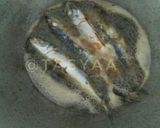 Foto langkah ke 1 dari resep Ikan Santan Kemangi.