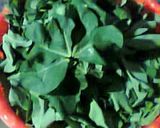 Foto langkah ke 1 dari resep Tumis daun singkong rencah tempe.