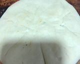 A picture of step 5 of Paneer mix veg paratha.