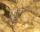 Foto langkah ke 4 dari resep 41. Kalio Ayam Padang ala Cintobundo.