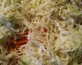 A picture of step 3 of Sweet and Sour Pork and cabbage.
