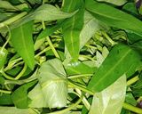 Foto langkah ke 1 dari resep Kangkung Saus Tiram.