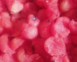 Foto langkah ke 3 dari resep SOP Buah Campur Jely.