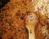 Foto del paso 6 de la receta: Arroz de pescado con alcachofas y pimiento rojo en paella