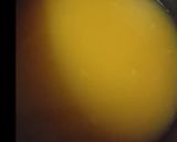A picture of step 1 of Orange dessert.