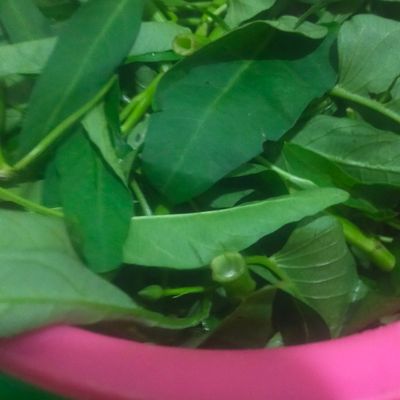 Langkah 1