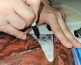 A picture of step 5 of Easy Beef Jerky.