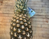 Foto del paso 2 de la receta: Piña asada con requesón