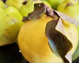 Foto del paso 1 de la receta: Jugo de membrillo