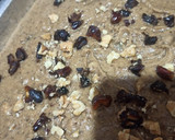 A picture of step 6 of Dates and walnut cake.